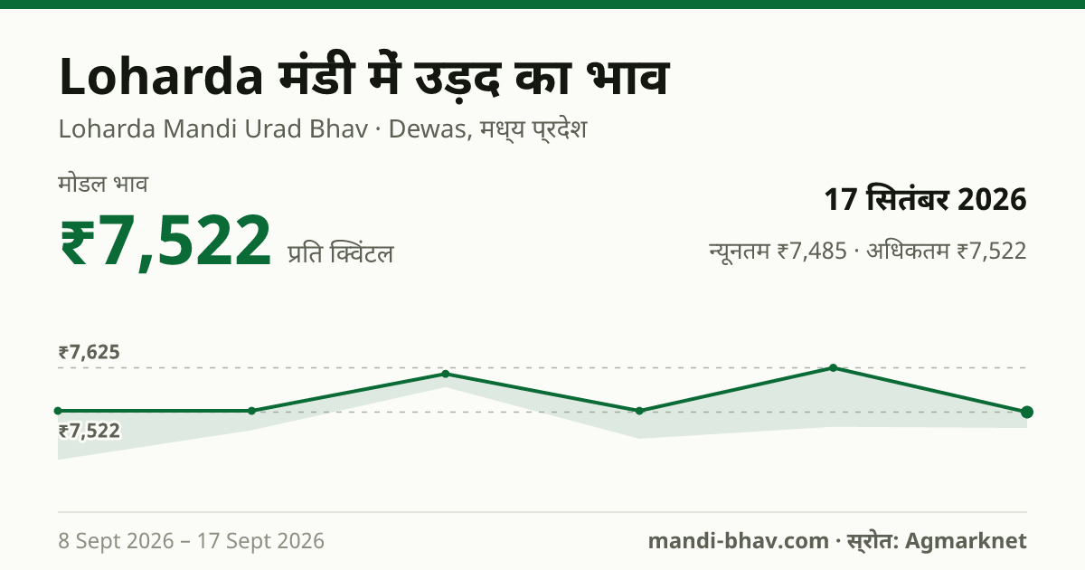 Loharda मंडी में उड़द का भाव 17 सितंबर 2026: मोडल ₹7,522 प्रति क्विंटल, भाव के रुझान का चार्ट