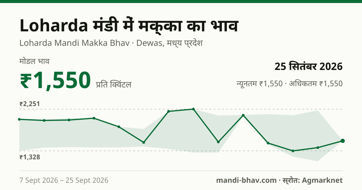 Loharda मंडी में मक्का का भाव 25 सितंबर 2026: मोडल ₹1,550 प्रति क्विंटल, भाव के रुझान का चार्ट