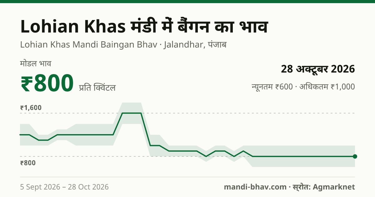 Lohian Khas मंडी में बैंगन का भाव 28 अक्टूबर 2026: मोडल ₹800 प्रति क्विंटल, भाव के रुझान का चार्ट
