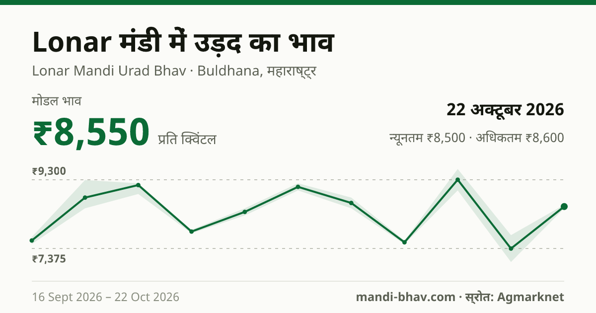 Lonar मंडी में उड़द का भाव 22 अक्टूबर 2026: मोडल ₹8,550 प्रति क्विंटल, भाव के रुझान का चार्ट