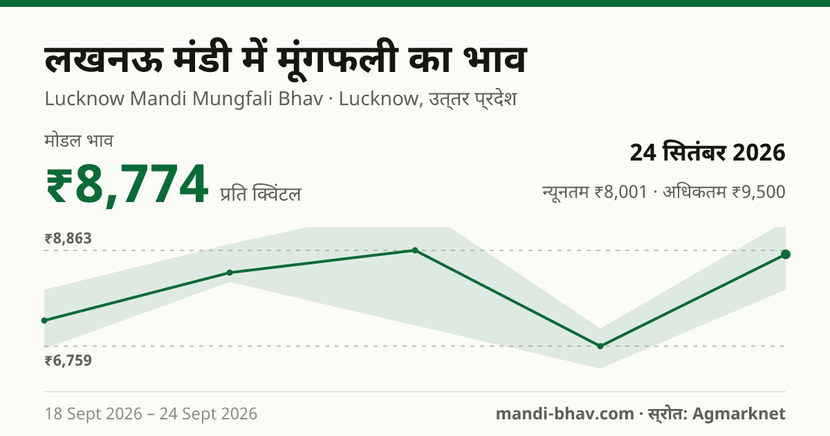 लखनऊ मंडी में मूंगफली का भाव 24 सितंबर 2026: मोडल ₹8,774 प्रति क्विंटल, भाव के रुझान का चार्ट