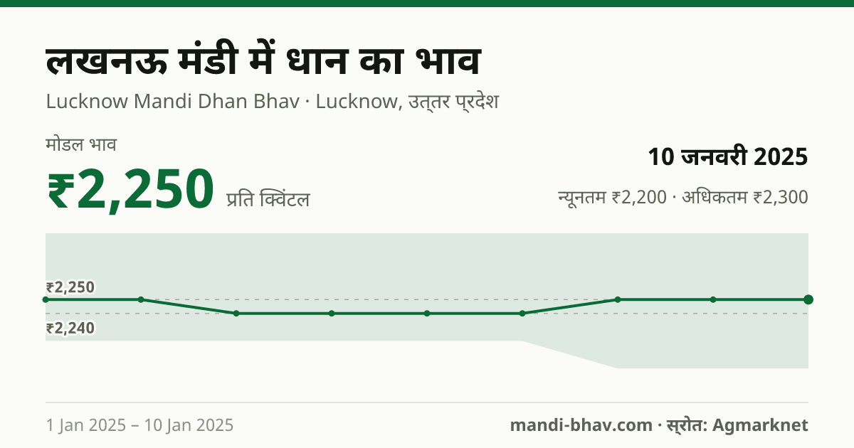 लखनऊ मंडी में धान का भाव 10 जनवरी 2025: मोडल ₹2,250 प्रति क्विंटल, भाव के रुझान का चार्ट