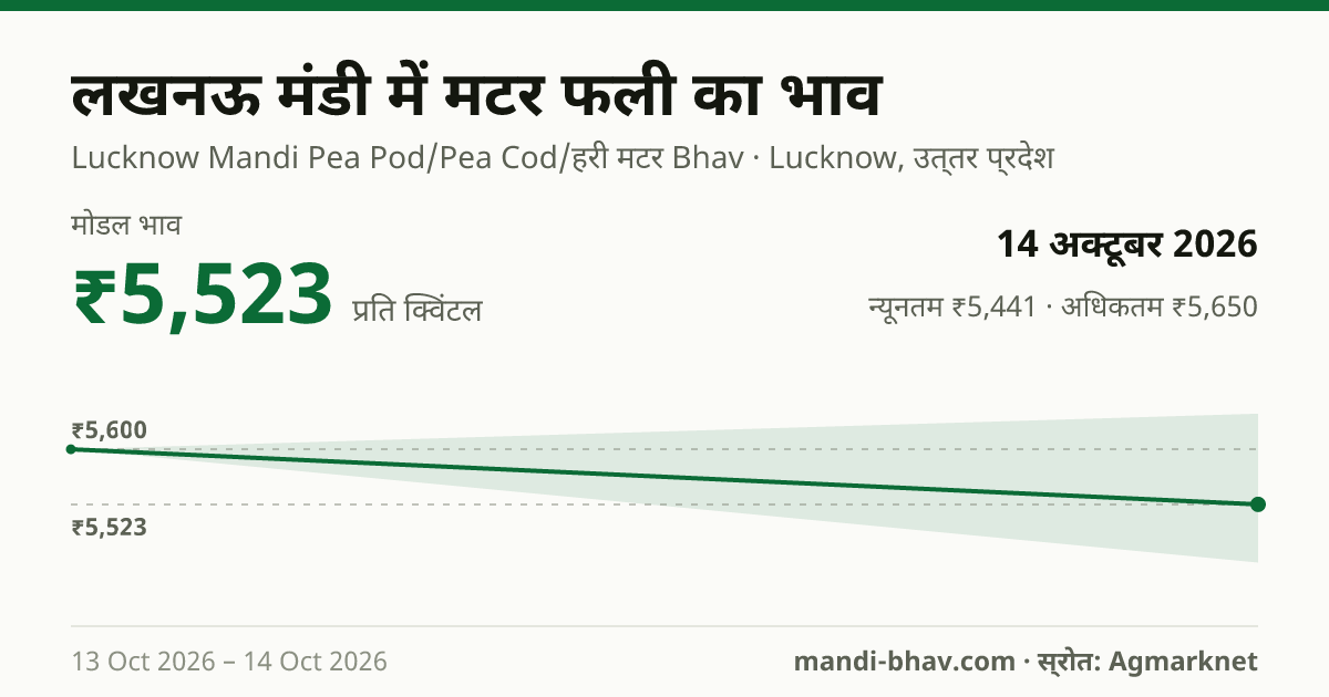 लखनऊ मंडी में मटर फली का भाव 14 अक्टूबर 2026: मोडल ₹5,523 प्रति क्विंटल, भाव के रुझान का चार्ट