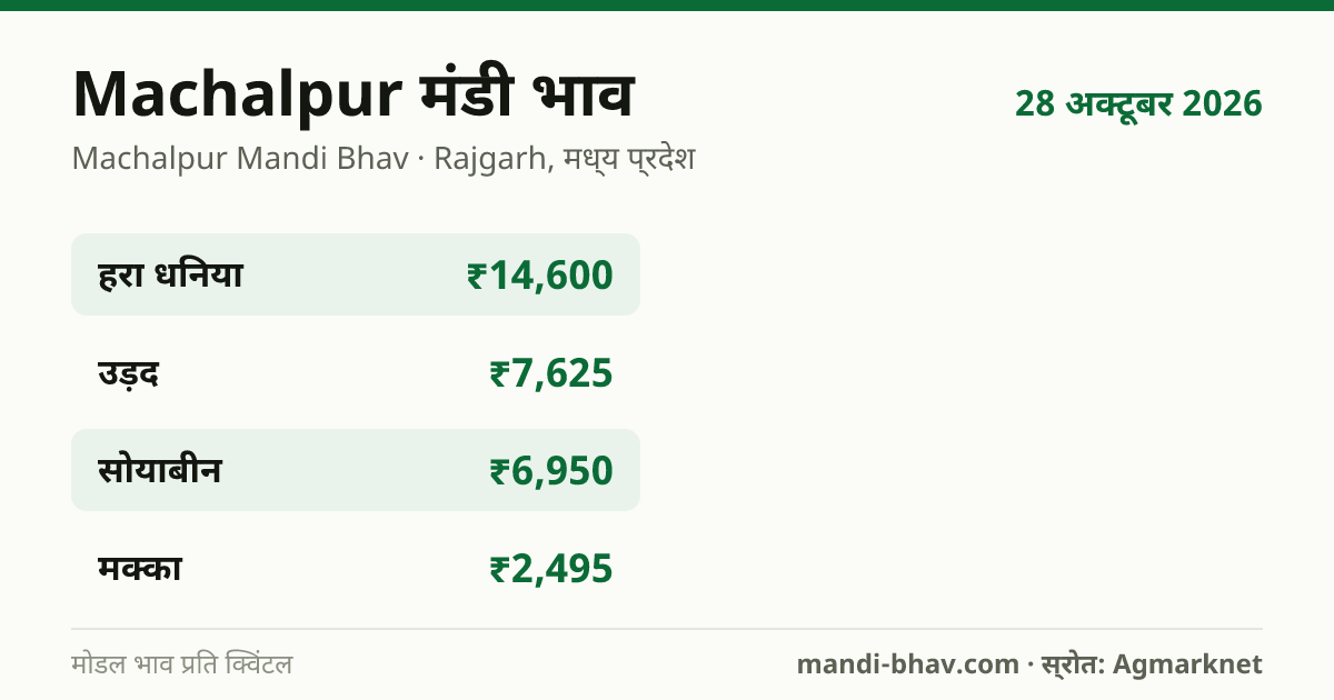 Machalpur मंडी भाव 28 अक्टूबर 2026: फसलवार मोडल रेट प्रति क्विंटल