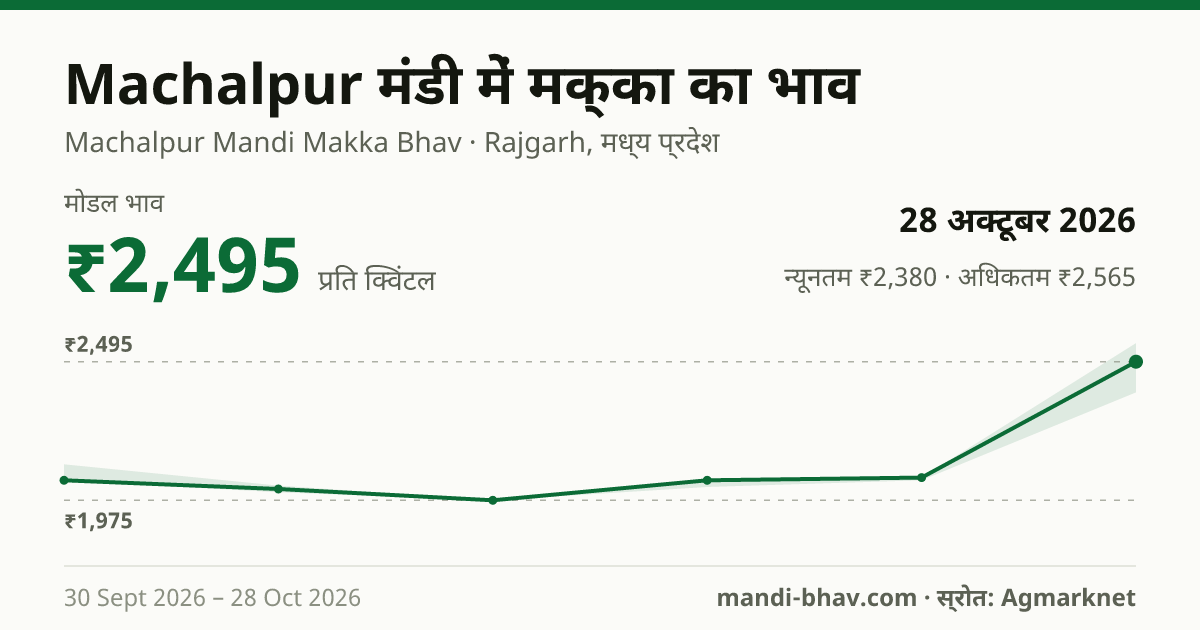 Machalpur मंडी में मक्का का भाव 28 अक्टूबर 2026: मोडल ₹2,565 प्रति क्विंटल, भाव के रुझान का चार्ट