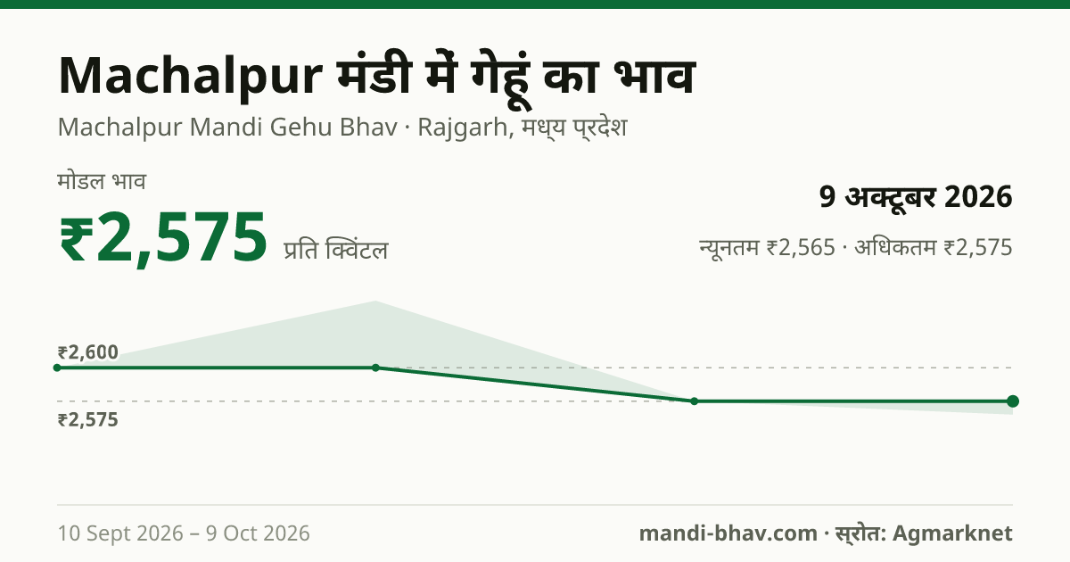 Machalpur मंडी में गेहूं का भाव 9 अक्टूबर 2026: मोडल ₹2,575 प्रति क्विंटल, भाव के रुझान का चार्ट