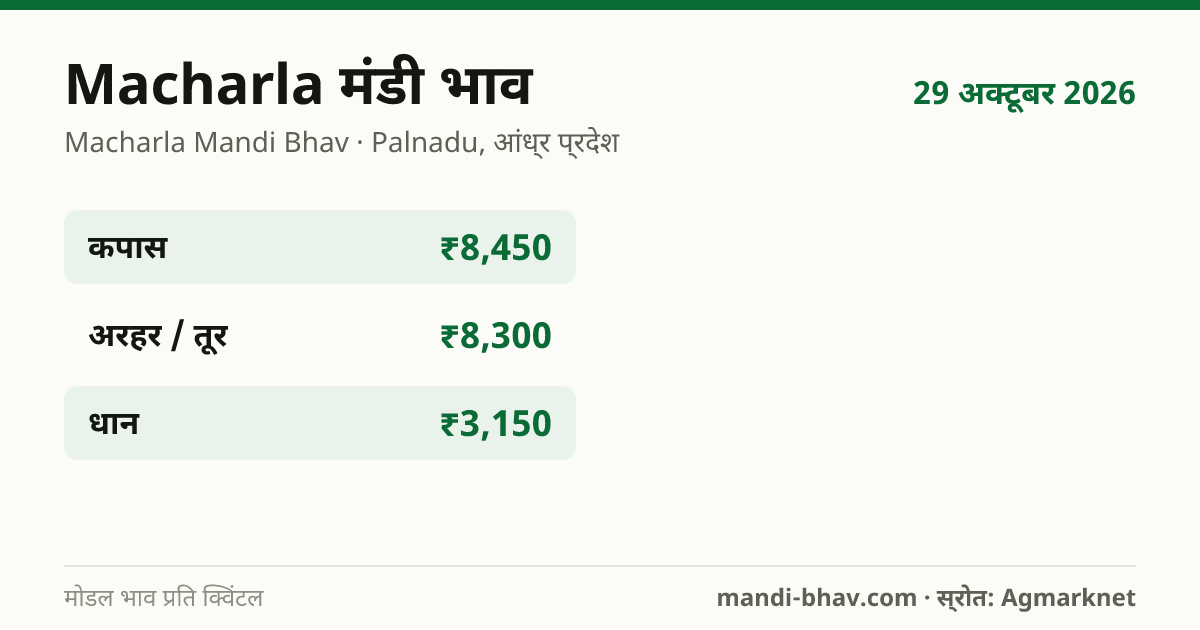 Macharla मंडी भाव 29 अक्टूबर 2026: फसलवार मोडल रेट प्रति क्विंटल