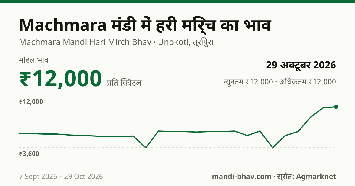 Machmara मंडी में हरी मिर्च का भाव 29 अक्टूबर 2026: मोडल ₹12,000 प्रति क्विंटल, भाव के रुझान का चार्ट