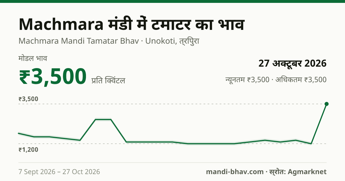 Machmara मंडी में टमाटर का भाव 27 अक्टूबर 2026: मोडल ₹3,500 प्रति क्विंटल, भाव के रुझान का चार्ट