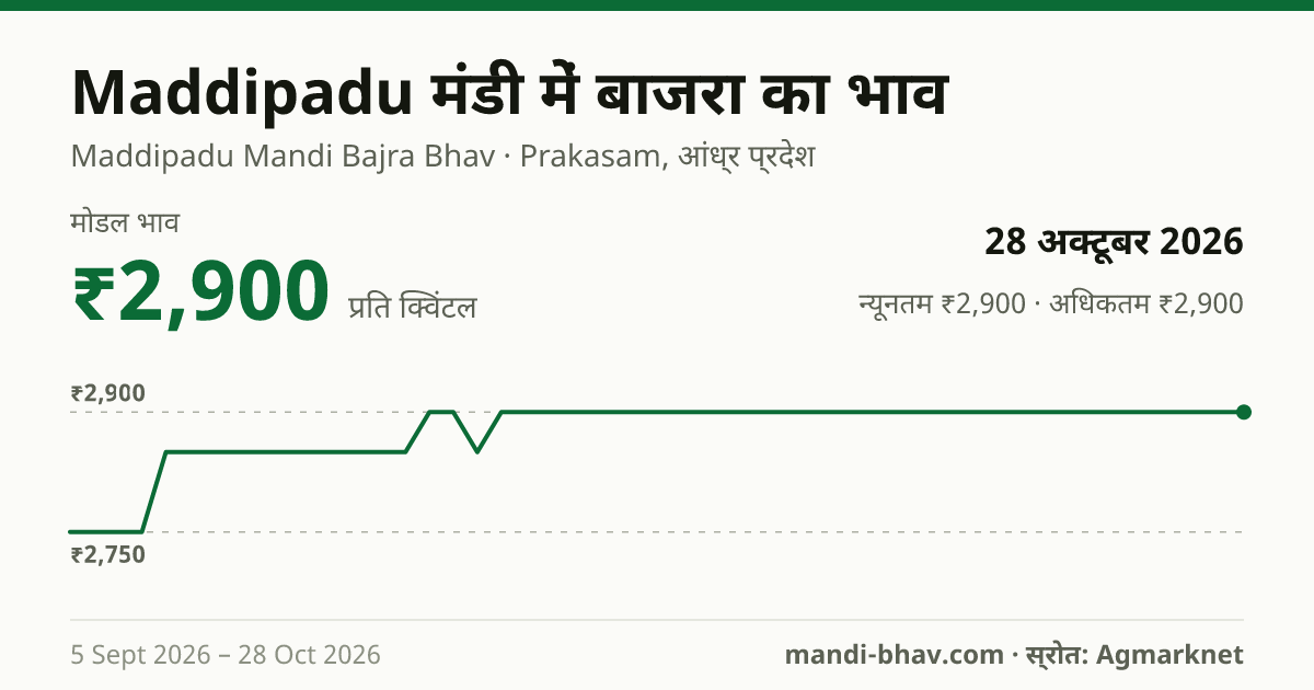 Maddipadu मंडी में बाजरा का भाव 28 अक्टूबर 2026: मोडल ₹2,900 प्रति क्विंटल, भाव के रुझान का चार्ट
