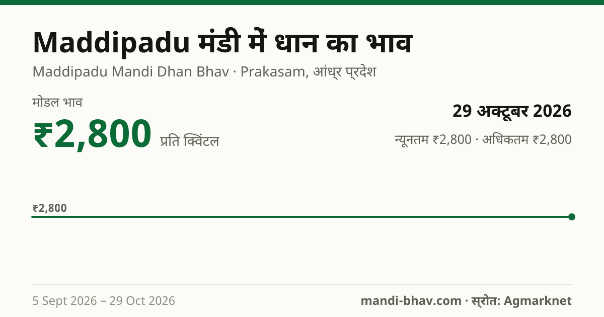 Maddipadu मंडी में धान का भाव 29 अक्टूबर 2026: मोडल ₹2,800 प्रति क्विंटल, भाव के रुझान का चार्ट