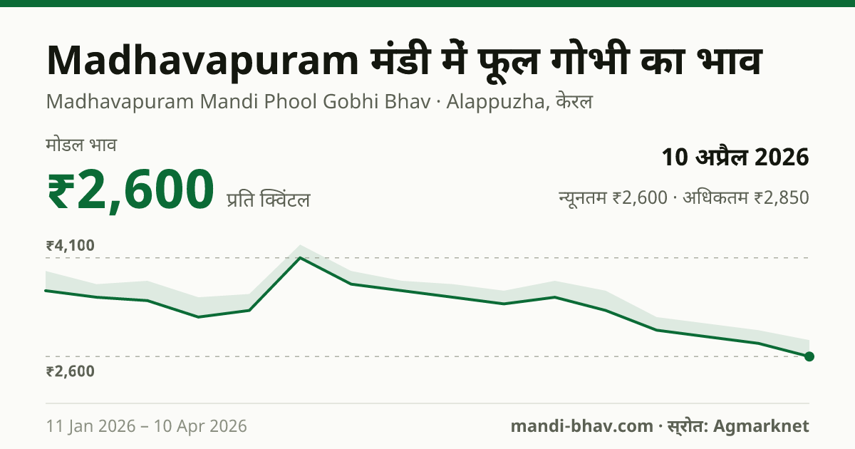 Madhavapuram मंडी में फूल गोभी का भाव 10 अप्रैल 2026: मोडल ₹2,600 प्रति क्विंटल, भाव के रुझान का चार्ट