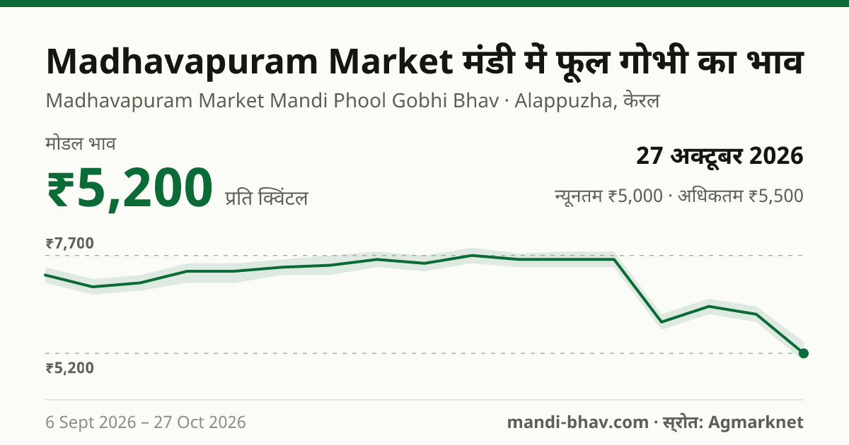 Madhavapuram Market मंडी में फूल गोभी का भाव 27 अक्टूबर 2026: मोडल ₹5,200 प्रति क्विंटल, भाव के रुझान का चार्ट