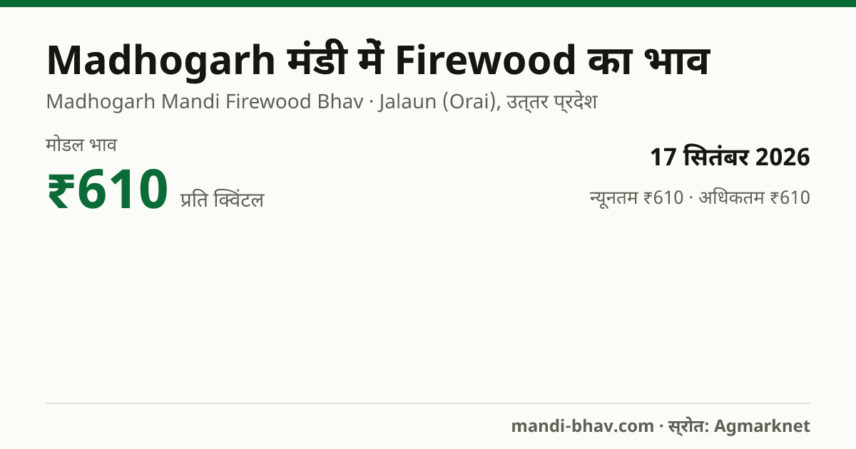 Madhogarh मंडी में Firewood का भाव 17 सितंबर 2026: मोडल ₹610 प्रति क्विंटल, भाव के रुझान का चार्ट