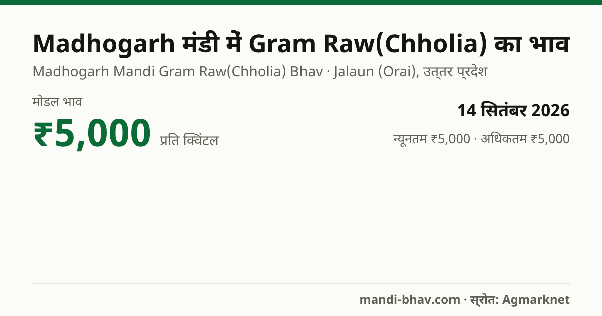 Madhogarh मंडी में Gram Raw(Chholia) का भाव 14 सितंबर 2026: मोडल ₹5,000 प्रति क्विंटल, भाव के रुझान का चार्ट