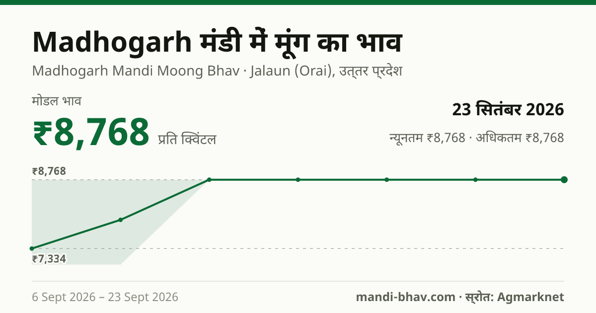 Madhogarh मंडी में मूंग का भाव 23 सितंबर 2026: मोडल ₹8,768 प्रति क्विंटल, भाव के रुझान का चार्ट