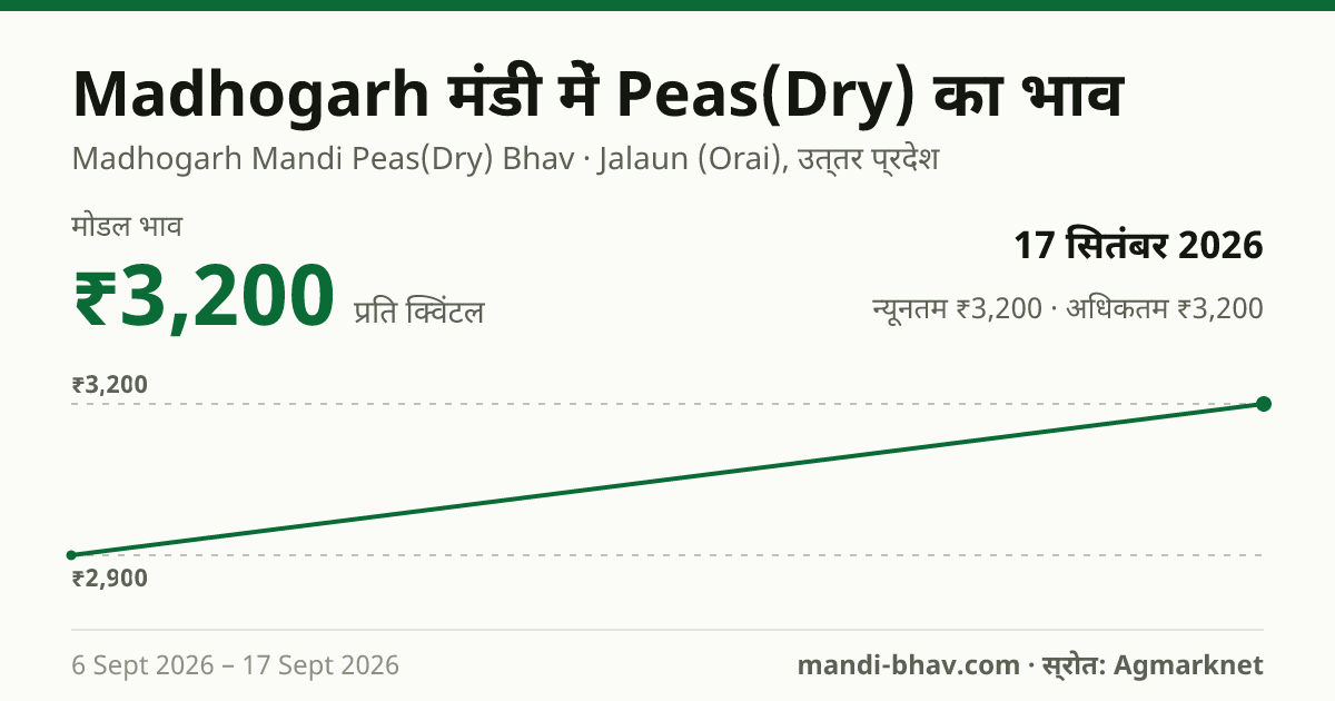 Madhogarh मंडी में Peas(Dry) का भाव 17 सितंबर 2026: मोडल ₹3,200 प्रति क्विंटल, भाव के रुझान का चार्ट