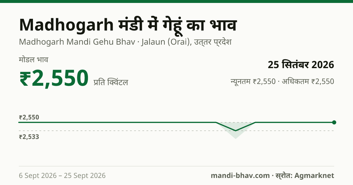 Madhogarh मंडी में गेहूं का भाव 25 सितंबर 2026: मोडल ₹2,550 प्रति क्विंटल, भाव के रुझान का चार्ट