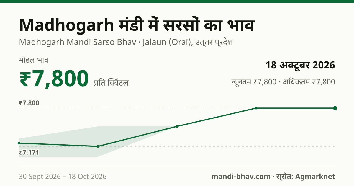 Madhogarh मंडी में सरसों का भाव 18 अक्टूबर 2026: मोडल ₹7,800 प्रति क्विंटल, भाव के रुझान का चार्ट