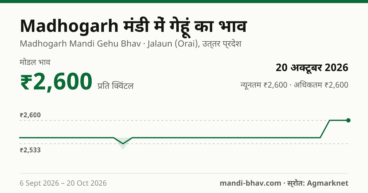 Madhogarh मंडी में गेहूं का भाव 20 अक्टूबर 2026: मोडल ₹2,600 प्रति क्विंटल, भाव के रुझान का चार्ट