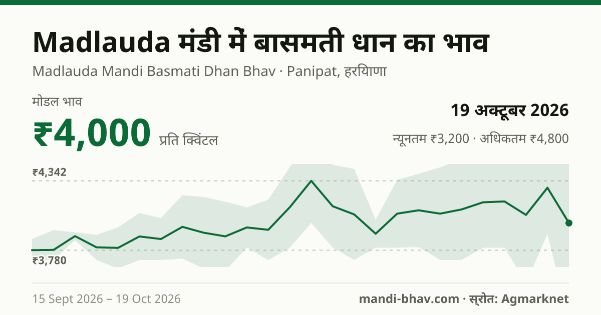 Madlauda मंडी में Paddy(Basmati) का भाव 19 अक्टूबर 2026: मोडल ₹4,000 प्रति क्विंटल, भाव के रुझान का चार्ट