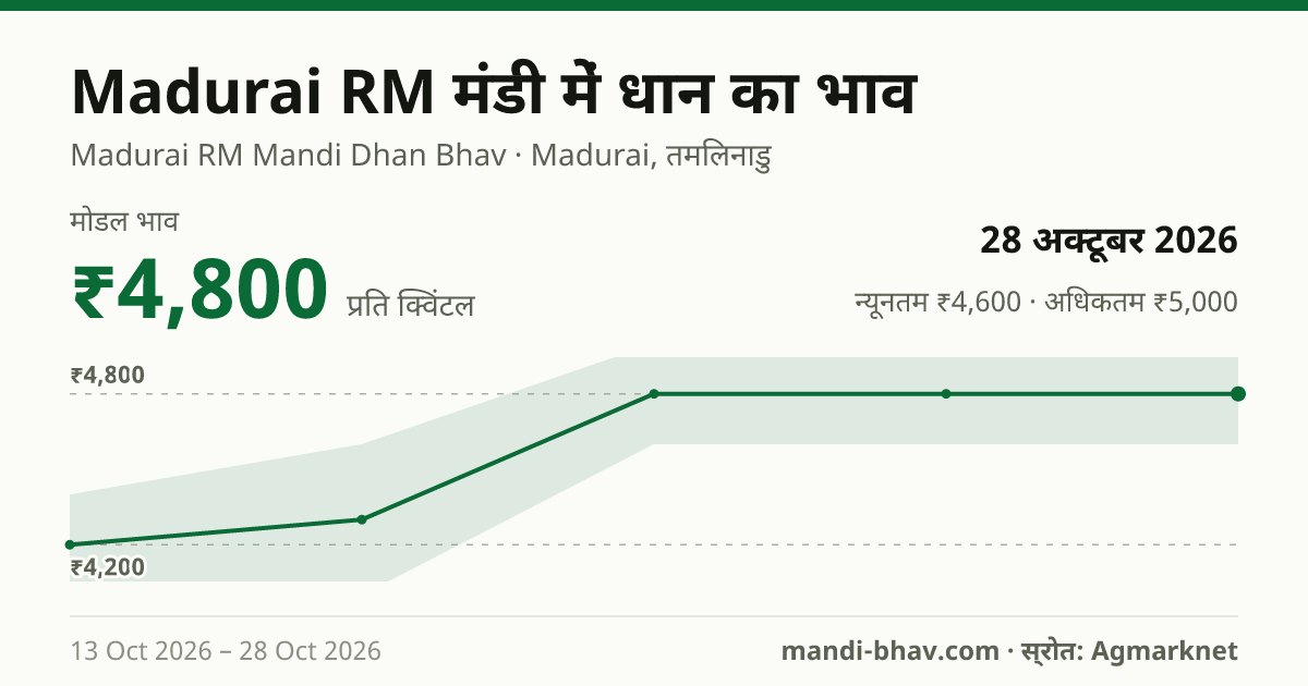 Madurai RM मंडी में धान का भाव 28 अक्टूबर 2026: मोडल ₹4,800 प्रति क्विंटल, भाव के रुझान का चार्ट