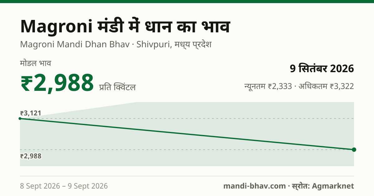 Magroni मंडी में धान का भाव 9 सितंबर 2026: मोडल ₹2,988 प्रति क्विंटल, भाव के रुझान का चार्ट