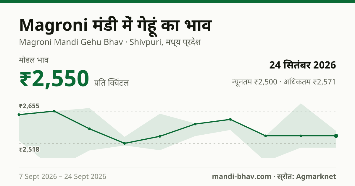Magroni मंडी में गेहूं का भाव 24 सितंबर 2026: मोडल ₹2,550 प्रति क्विंटल, भाव के रुझान का चार्ट