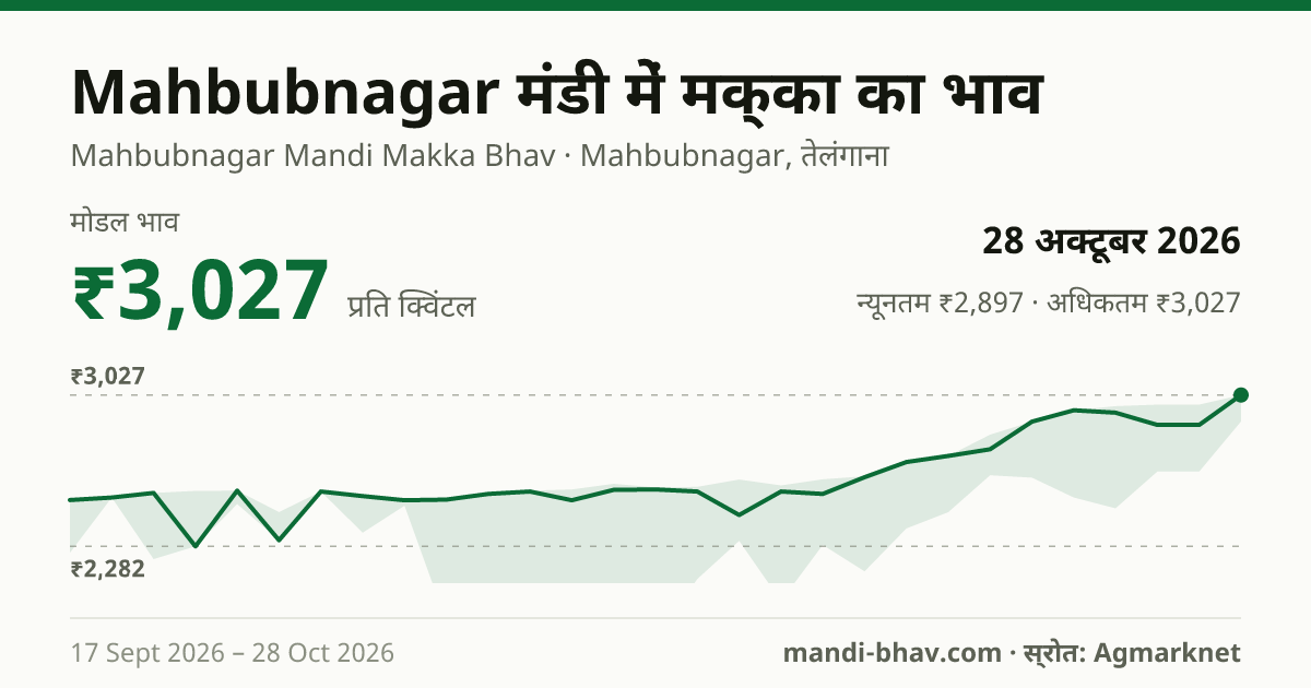 Mahbubnagar मंडी में मक्का का भाव 28 अक्टूबर 2026: मोडल ₹3,027 प्रति क्विंटल, भाव के रुझान का चार्ट