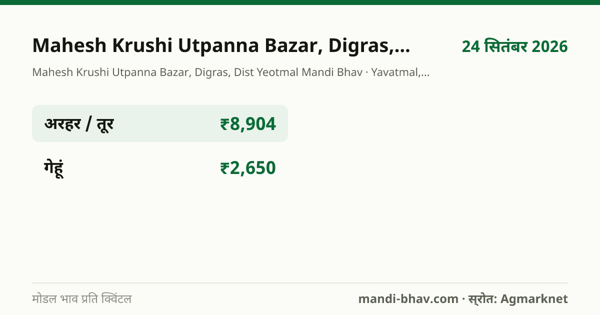 Mahesh Krushi Utpanna Bazar, Digras, Dist Yeotmal मंडी भाव 24 सितंबर 2026: फसलवार मोडल रेट प्रति क्विंटल