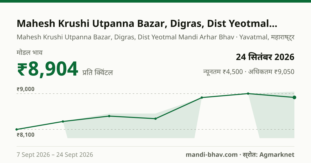 Mahesh Krushi Utpanna Bazar, Digras, Dist Yeotmal मंडी में अरहर / तूर का भाव 24 सितंबर 2026: मोडल ₹8,904 प्रति क्विंटल, भाव के रुझान का चार्ट