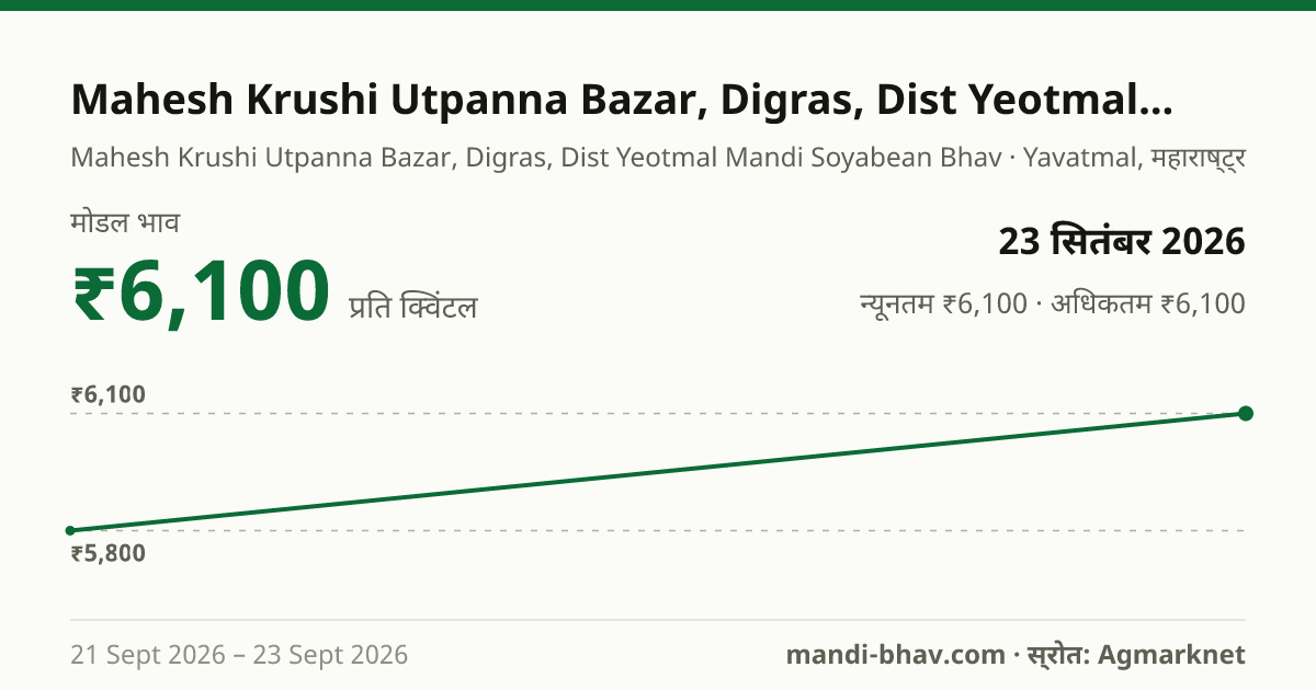 Mahesh Krushi Utpanna Bazar, Digras, Dist Yeotmal मंडी में सोयाबीन का भाव 23 सितंबर 2026: मोडल ₹6,100 प्रति क्विंटल, भाव के रुझान का चार्ट