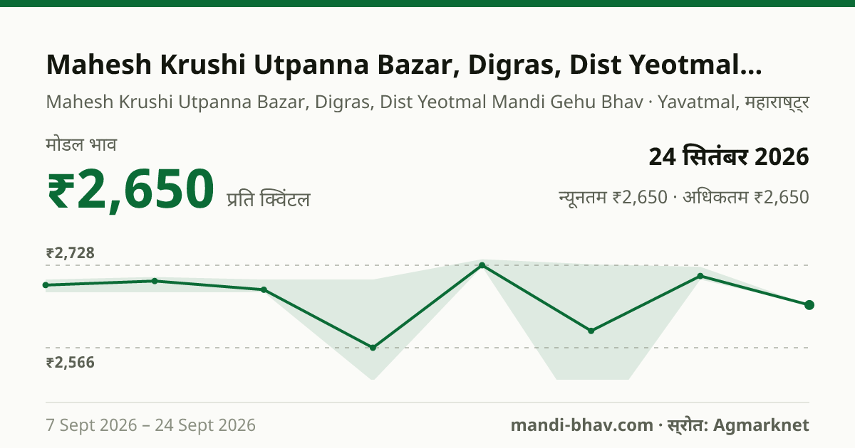 Mahesh Krushi Utpanna Bazar, Digras, Dist Yeotmal मंडी में गेहूं का भाव 24 सितंबर 2026: मोडल ₹2,650 प्रति क्विंटल, भाव के रुझान का चार्ट