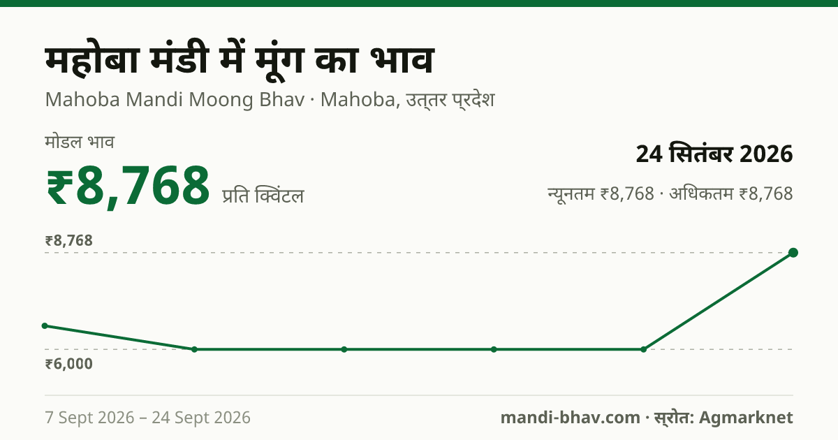 महोबा मंडी में मूंग का भाव 24 सितंबर 2026: मोडल ₹8,768 प्रति क्विंटल, भाव के रुझान का चार्ट