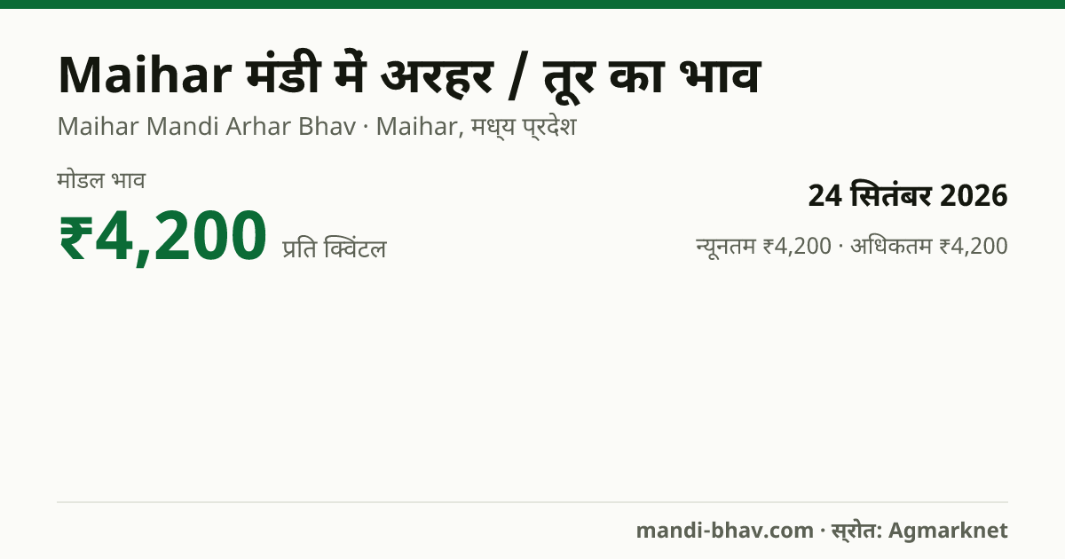 Maihar मंडी में अरहर / तूर का भाव 24 सितंबर 2026: मोडल ₹4,200 प्रति क्विंटल, भाव के रुझान का चार्ट