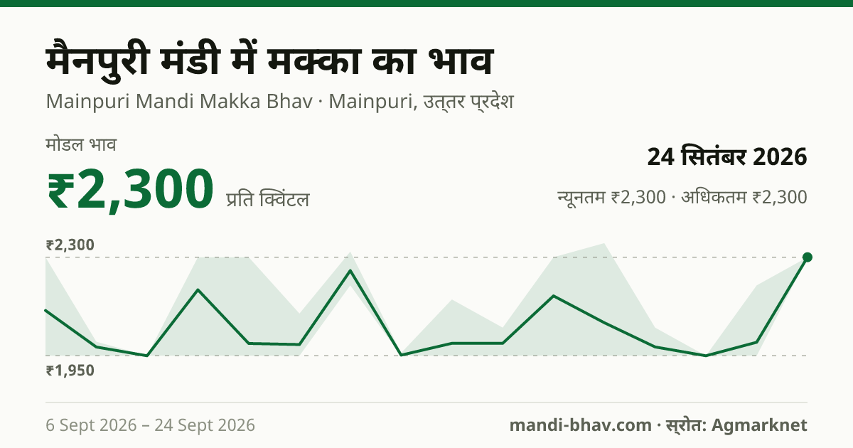 मैनपुरी मंडी में मक्का का भाव 24 सितंबर 2026: मोडल ₹2,300 प्रति क्विंटल, भाव के रुझान का चार्ट