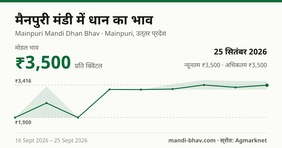 मैनपुरी मंडी में धान का भाव 25 सितंबर 2026: मोडल ₹3,500 प्रति क्विंटल, भाव के रुझान का चार्ट