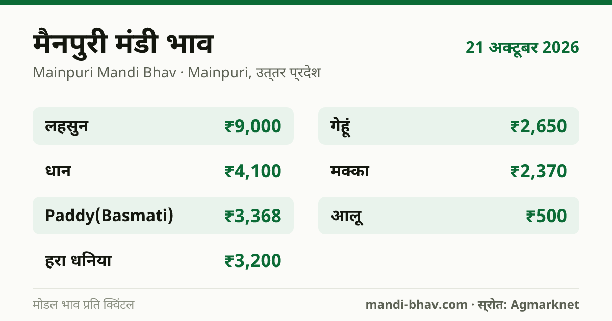 मैनपुरी मंडी भाव 21 अक्टूबर 2026: फसलवार मोडल रेट प्रति क्विंटल