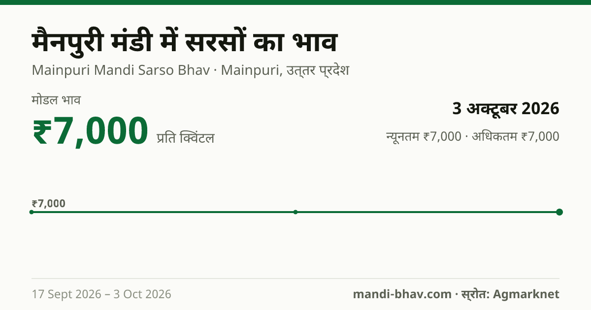 मैनपुरी मंडी में सरसों का भाव 3 अक्टूबर 2026: मोडल ₹7,000 प्रति क्विंटल, भाव के रुझान का चार्ट