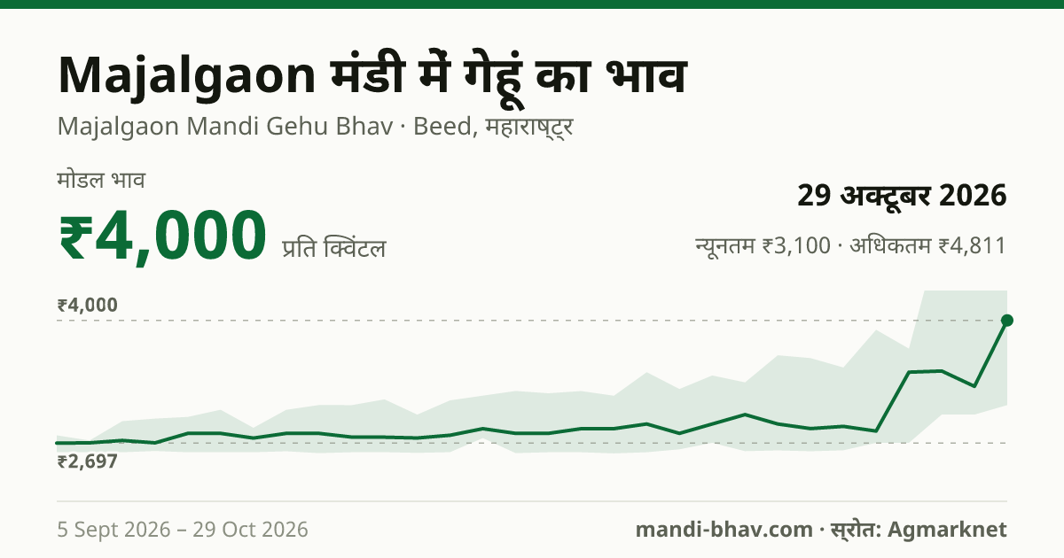 Majalgaon मंडी में गेहूं का भाव 29 अक्टूबर 2026: मोडल ₹4,000 प्रति क्विंटल, भाव के रुझान का चार्ट