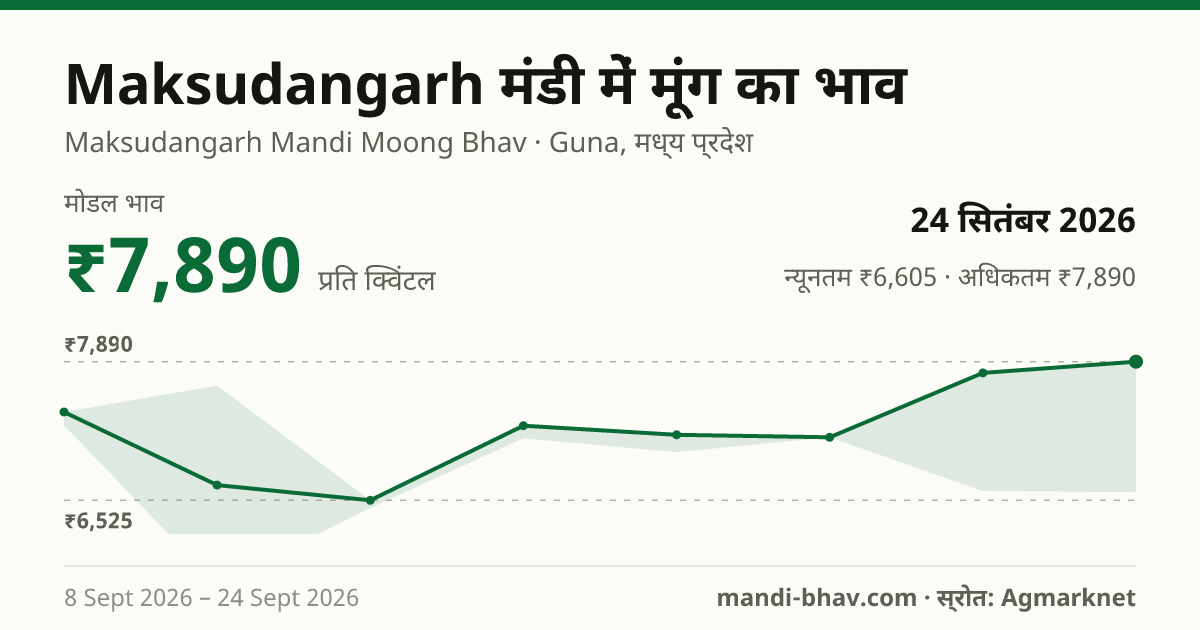 Maksudangarh मंडी में मूंग का भाव 24 सितंबर 2026: मोडल ₹7,890 प्रति क्विंटल, भाव के रुझान का चार्ट