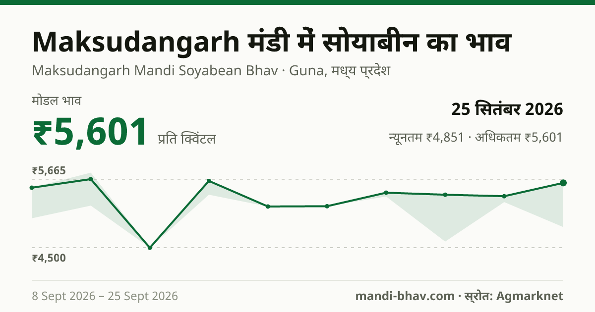 Maksudangarh मंडी में सोयाबीन का भाव 25 सितंबर 2026: मोडल ₹5,601 प्रति क्विंटल, भाव के रुझान का चार्ट