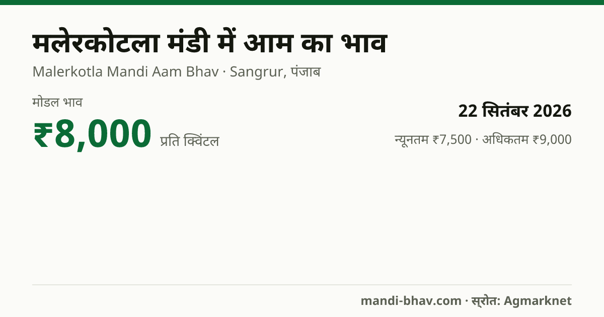 मलेरकोटला मंडी में आम का भाव 22 सितंबर 2026: मोडल ₹8,000 प्रति क्विंटल, भाव के रुझान का चार्ट