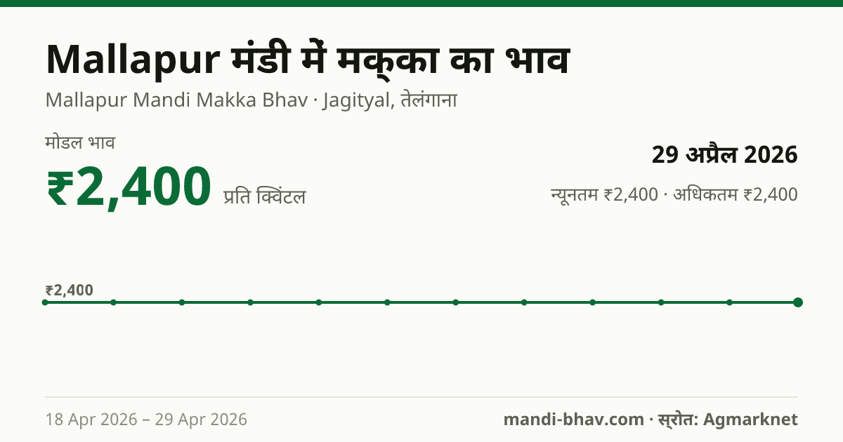 Mallapur मंडी में मक्का का भाव 29 अप्रैल 2026: मोडल ₹2,400 प्रति क्विंटल, भाव के रुझान का चार्ट