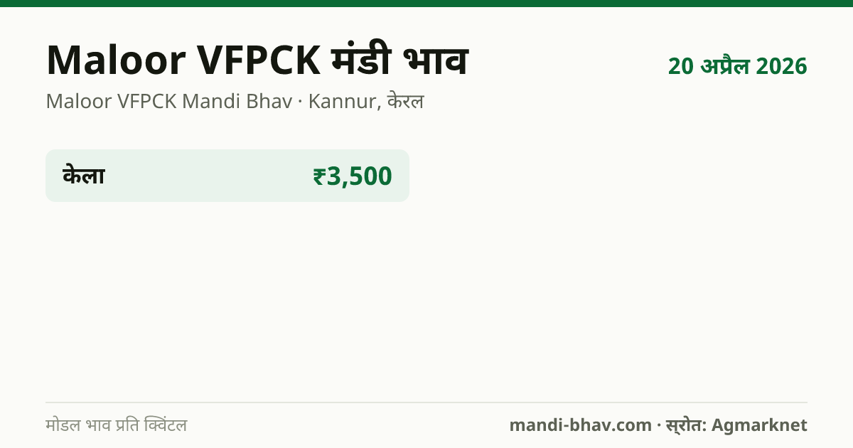 Maloor VFPCK मंडी भाव 20 अप्रैल 2026: फसलवार मोडल रेट प्रति क्विंटल