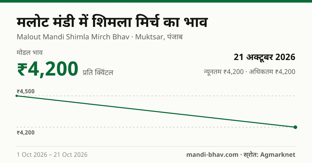 मलोट मंडी में शिमला मिर्च का भाव 21 अक्टूबर 2026: मोडल ₹4,200 प्रति क्विंटल, भाव के रुझान का चार्ट