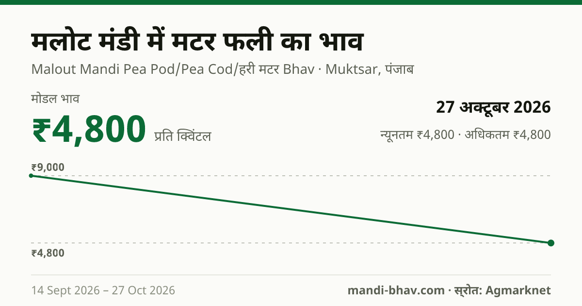मलोट मंडी में मटर फली का भाव 27 अक्टूबर 2026: मोडल ₹4,800 प्रति क्विंटल, भाव के रुझान का चार्ट