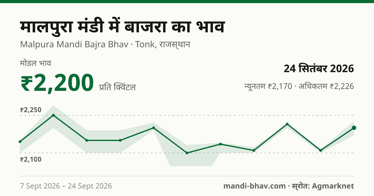 मालपुरा मंडी में बाजरा का भाव 24 सितंबर 2026: मोडल ₹2,200 प्रति क्विंटल, भाव के रुझान का चार्ट