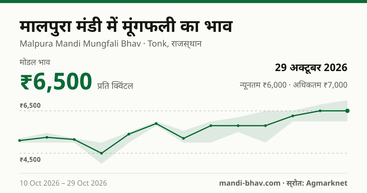 मालपुरा मंडी में मूंगफली का भाव 29 अक्टूबर 2026: मोडल ₹6,500 प्रति क्विंटल, भाव के रुझान का चार्ट
