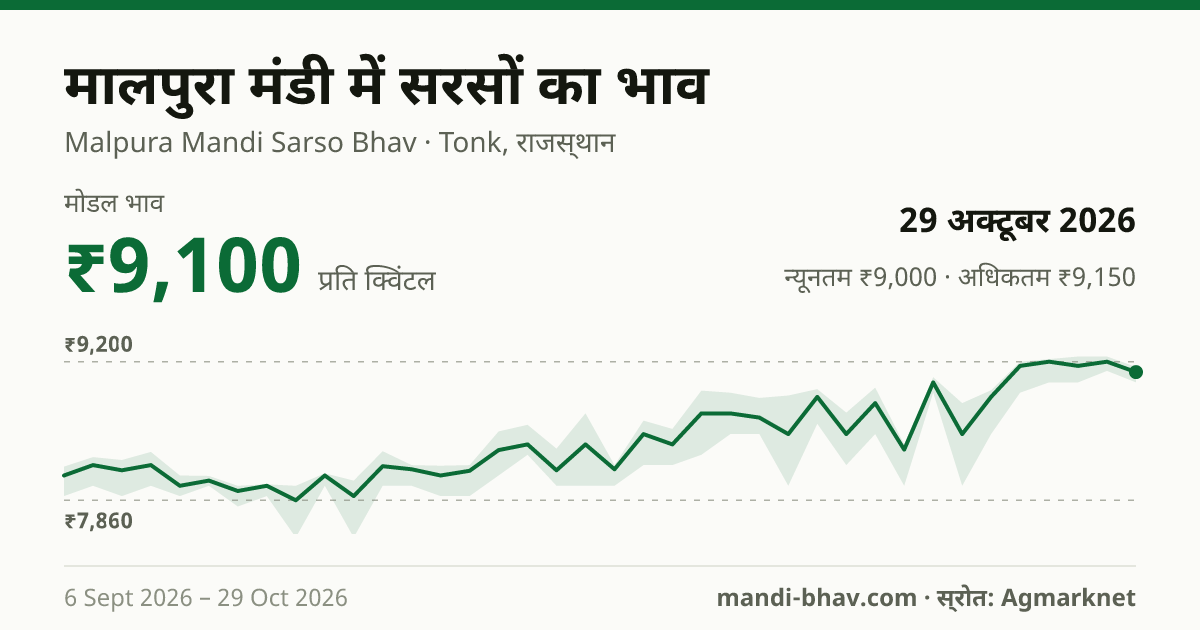 मालपुरा मंडी में सरसों का भाव 29 अक्टूबर 2026: मोडल ₹9,100 प्रति क्विंटल, भाव के रुझान का चार्ट